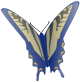 butterfly